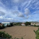 바이신산 이미지