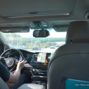 펫택시펫카 이미지