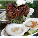 진미펜션 이미지