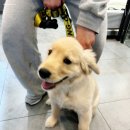 주안동물병원 이미지