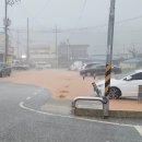 손불면사무소 이미지