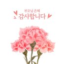 [가정의 달]부모님과 함께하는 카네이션 미니케이크 만들기 | 부산 케이크원데이클래스 후기｜생화카네이션 케이크 만들고 왔어요💐