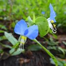 보은 우당고택 이미지