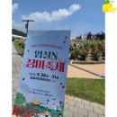장미1길 | 내돈내산 임실 장미축제 찐후기 주차꿀팁 먹거리 후기