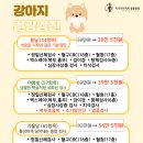 키다리아저씨 동물병원 이미지