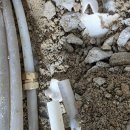 수영팔도시장 이미지