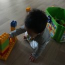 디어멍멍 이미지