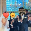 해운대센텀호텔Ⅱ | 부산 해운대센텀호텔 웨딩홀 하객 뷔페 솔직후기(가족결혼)