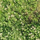 바람이좋은화산마을 이미지