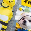 비피인터내셔널 이미지