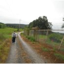 금곡2리 이미지