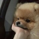 인헌동-2 이미지