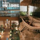 코티스 앰버서더 그라운드 | 부산 실내 가볼만한곳 센텀 스파랜드 시간 / 가격 / 할인 / 주차