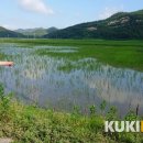 보전간척지 이미지