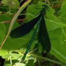 60계 거제수월점 이미지