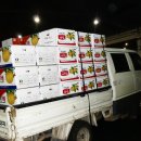 박이농장 이미지