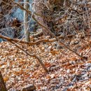 수회초 팔봉분교 이미지