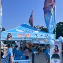 소나곡 | 미스트롯4 콘서트 고양 콘서트 후기