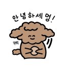 이팝미용 이미지