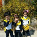 맑은해유치원 이미지