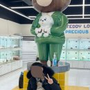 인천강아지분양 테디럽 이미지
