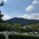청주랜드관리사업소(동물원) | 청주 아이랑 가볼만한곳_🐻 재오픈한 9월의 청주동물원 유모차 대여 가능