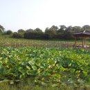 신등중학교 이미지