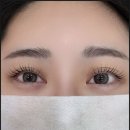 닥터페디&모리네일