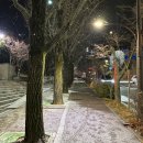 과천시청 내 | 여권발급 소요기간 온라인 신청 후 과천시청 수령한 후기