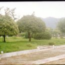 아화초등학교 이미지