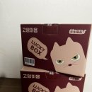 견생냥품 무인24시 양주 고읍점 | 양주 견생냥품 러키 박스