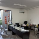 City Car Service | 오키나와 현지 렌트카 : 클룩 NEMO RENT CAR 니모 렌트카 예약 내돈내산 공항 픽업서비스 주유 정보