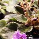 새한마음 약국 이미지