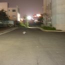 서울송정초등학교 이미지