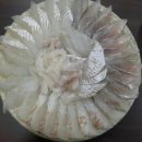 동해수산회집 이미지