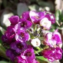 이도회센타 이미지