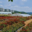 경기옛길 의주길 제4길 파주고을길 이미지