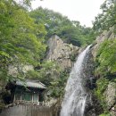 류가네가든 이미지