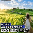 부안도깨비(16회차) | 고창 청보리밭 축제 4월 18일 개막, 인생샷 절정기 딱 2주 남았습니다