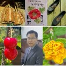 백조노래방 네이버블로그