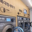 이지워시셀프빨래방세종집현점 | 세종 집현동 코인세탁소 '이지워시' 내돈내산 셀프빨래방