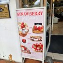 광주 진월동 맛집 빵집 궁전제과 진월점 남구 베이커리 후기
