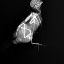 아쿠아동물병원 이미지