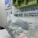 크린토피아(그린타운) 이미지