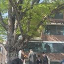 190 광교저널