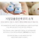 사임당출장산후조리