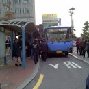 시장찐만두