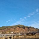 원탑고수부지 이미지