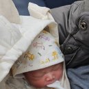 홍진희소아청소년과의원 이미지