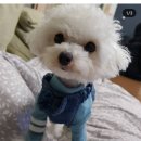 고래실공원 이미지